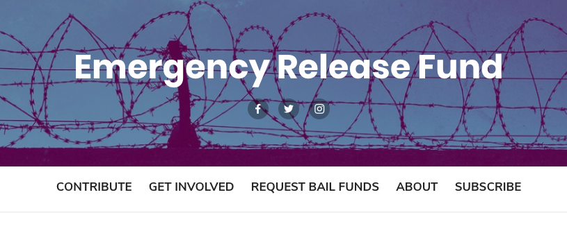 ✦ emergency release fund raffle fundraiser ✦