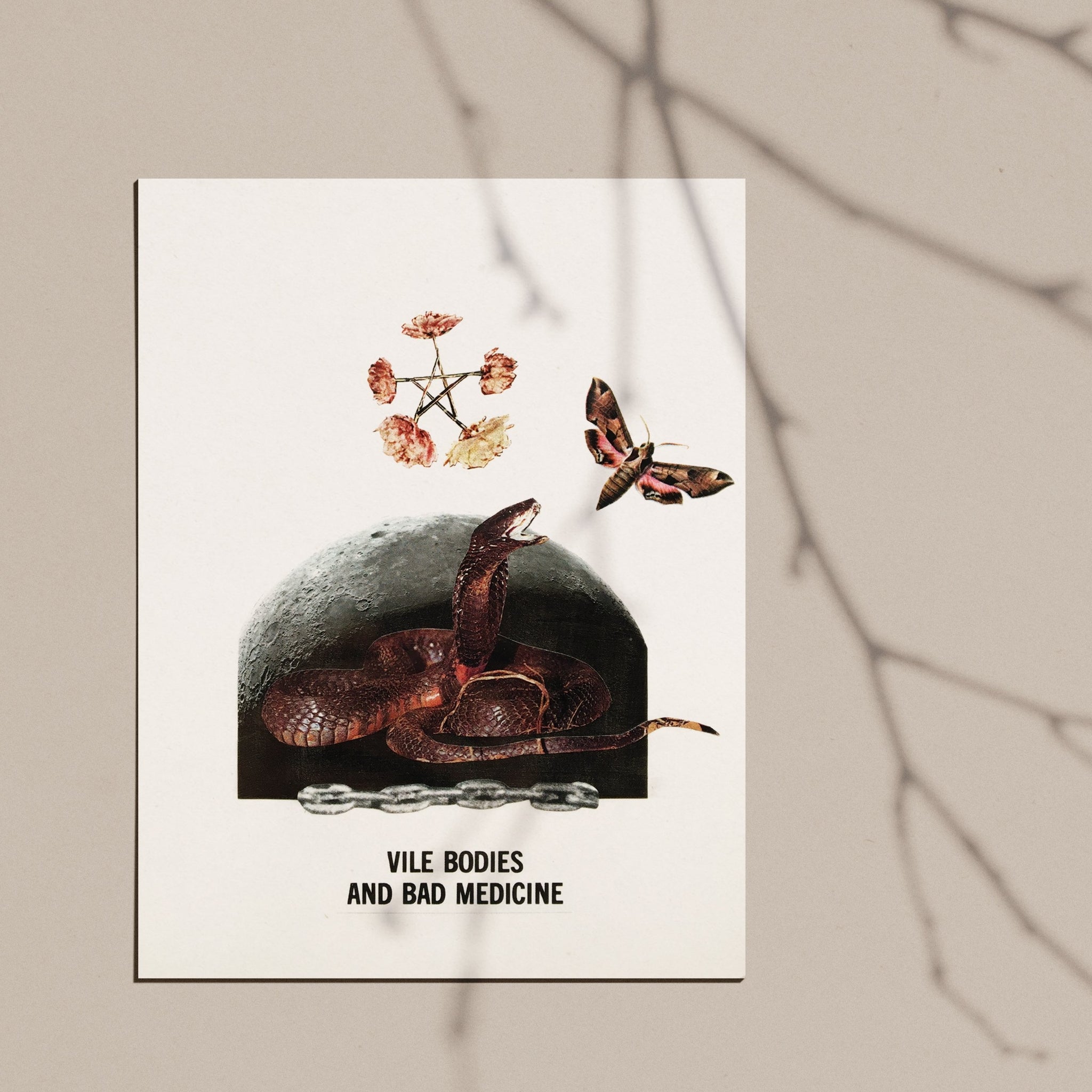Bad Medicine Snake Glossy Postcard Print